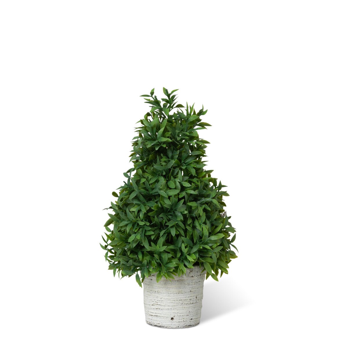 Mountain Savory Cone Topiary, Small style shot 1