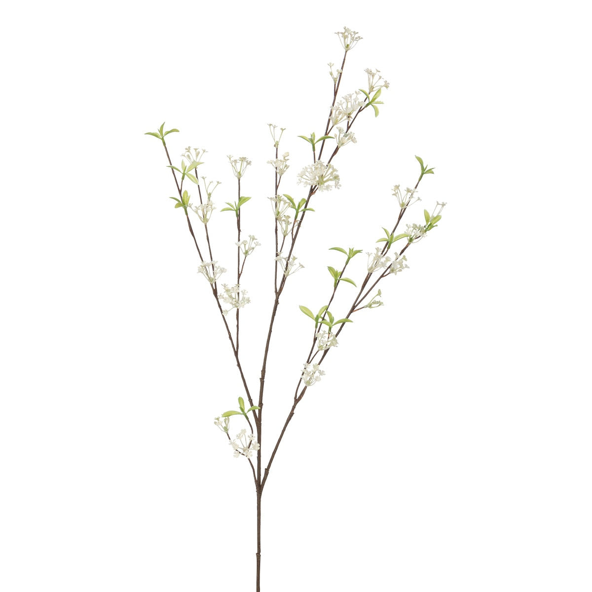 Crafted Bridal Wreath Spirea Stem style shot 2