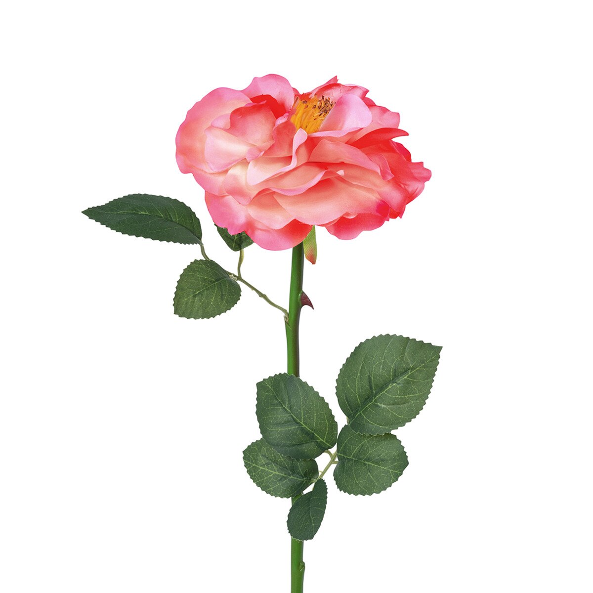 Gathered Garden Rose, Pink style shot 2