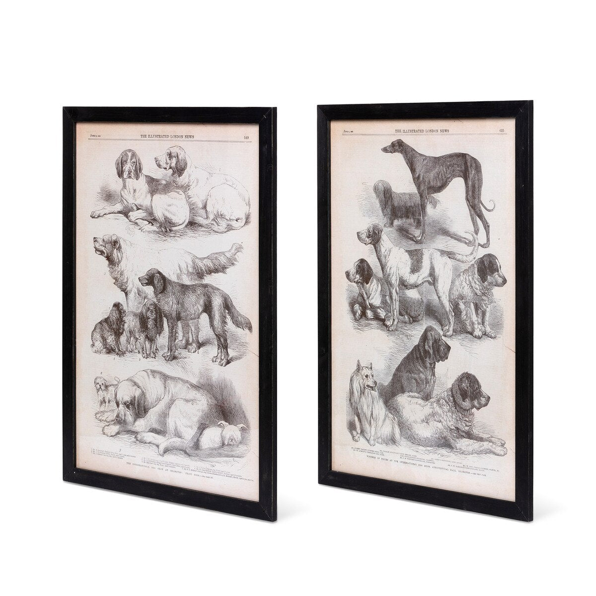 Canine Species Sepia Prints, 2 Assorted Styles style shot 2