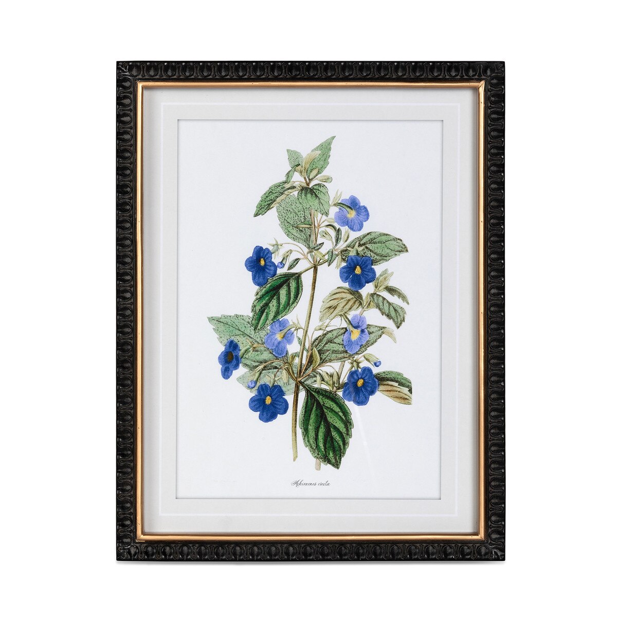 Summer Flower Framed Prints, 4 Assorted Styles style shot 2