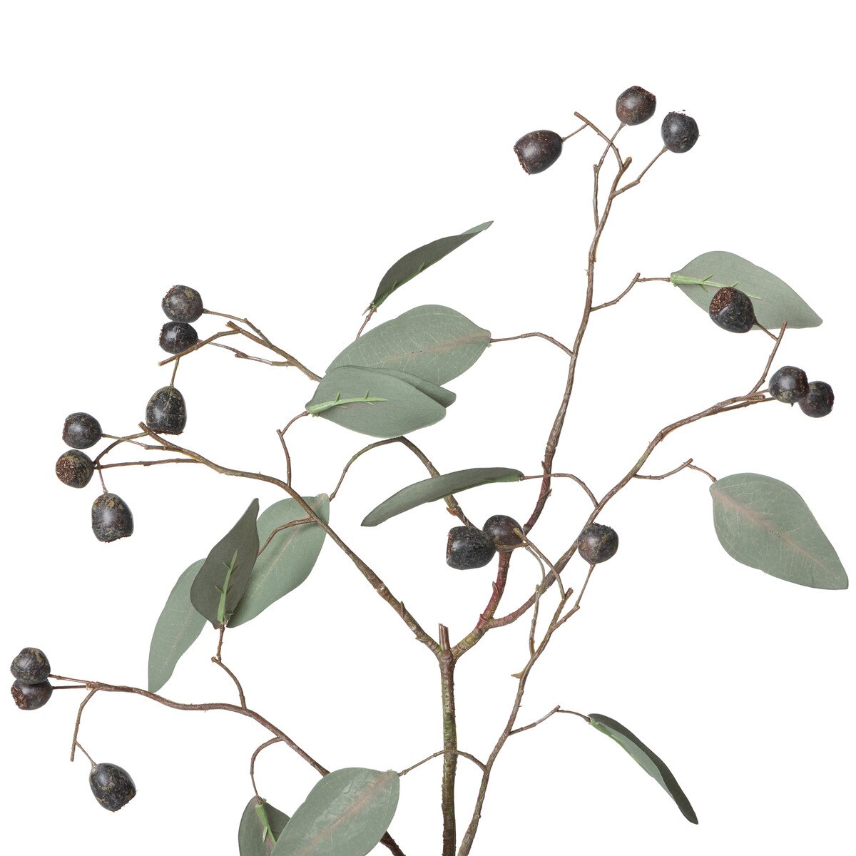 Eucalyptus Spray with Berries style shot 2