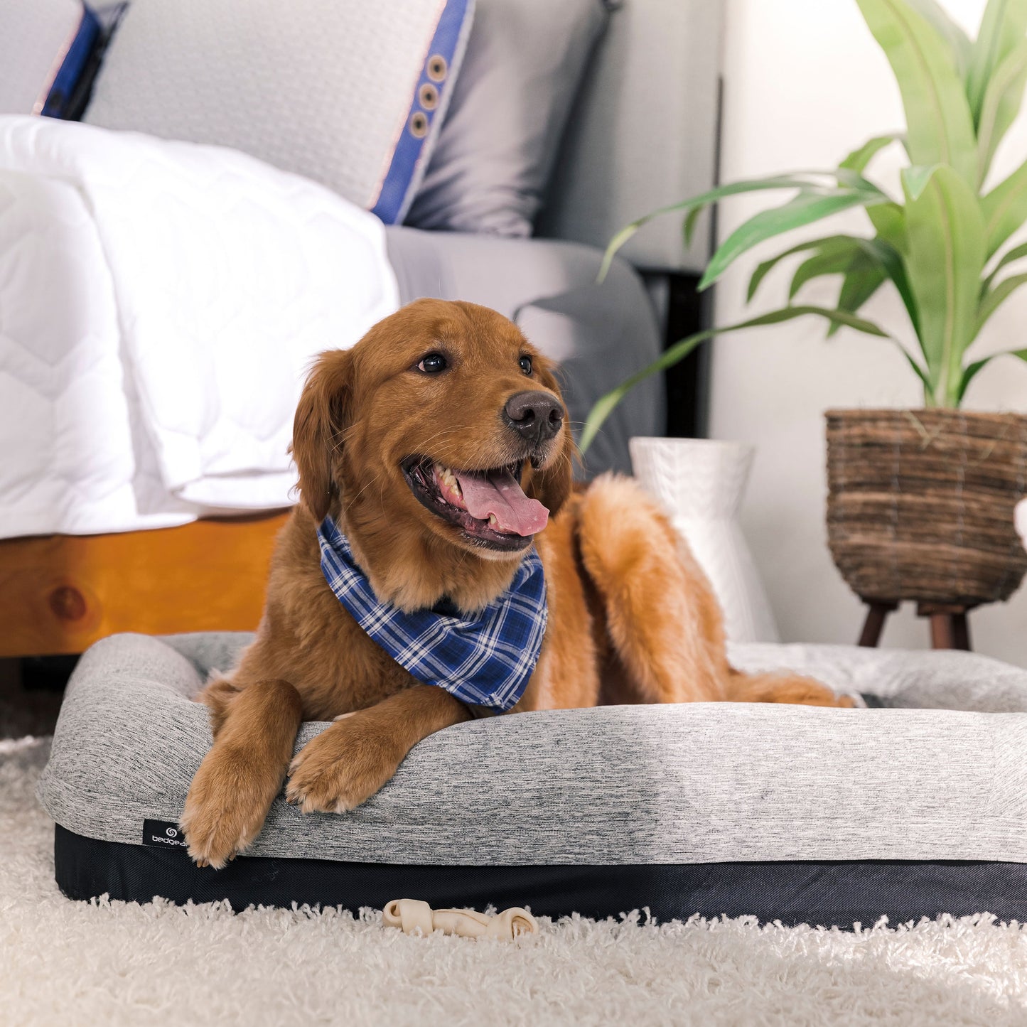 PerformanceÂ® Dog Bed