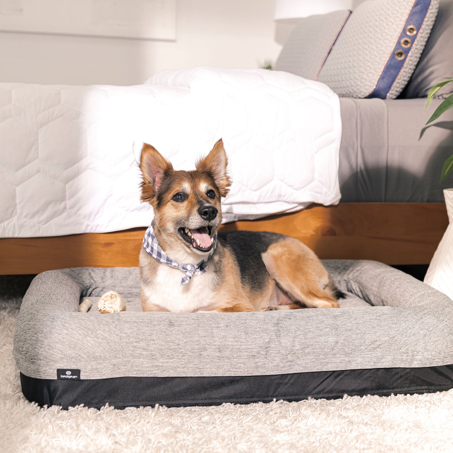 PerformanceÂ® Dog Bed