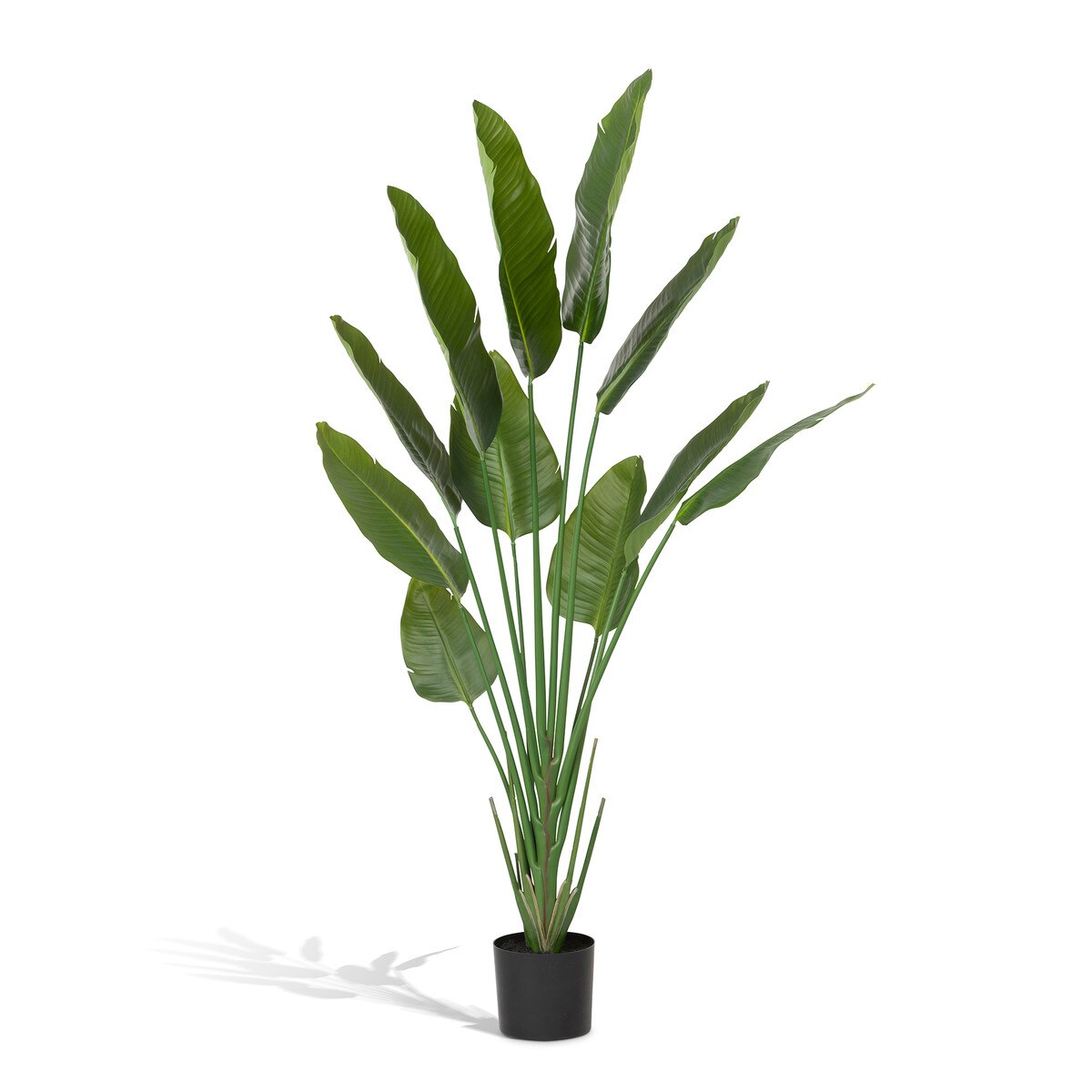 Faux Traveler Palm with Weighted Black Pot, 70" style shot 1