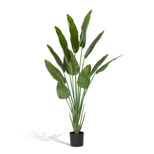 Faux Traveler Palm with Weighted Black Pot, 70" style shot 1