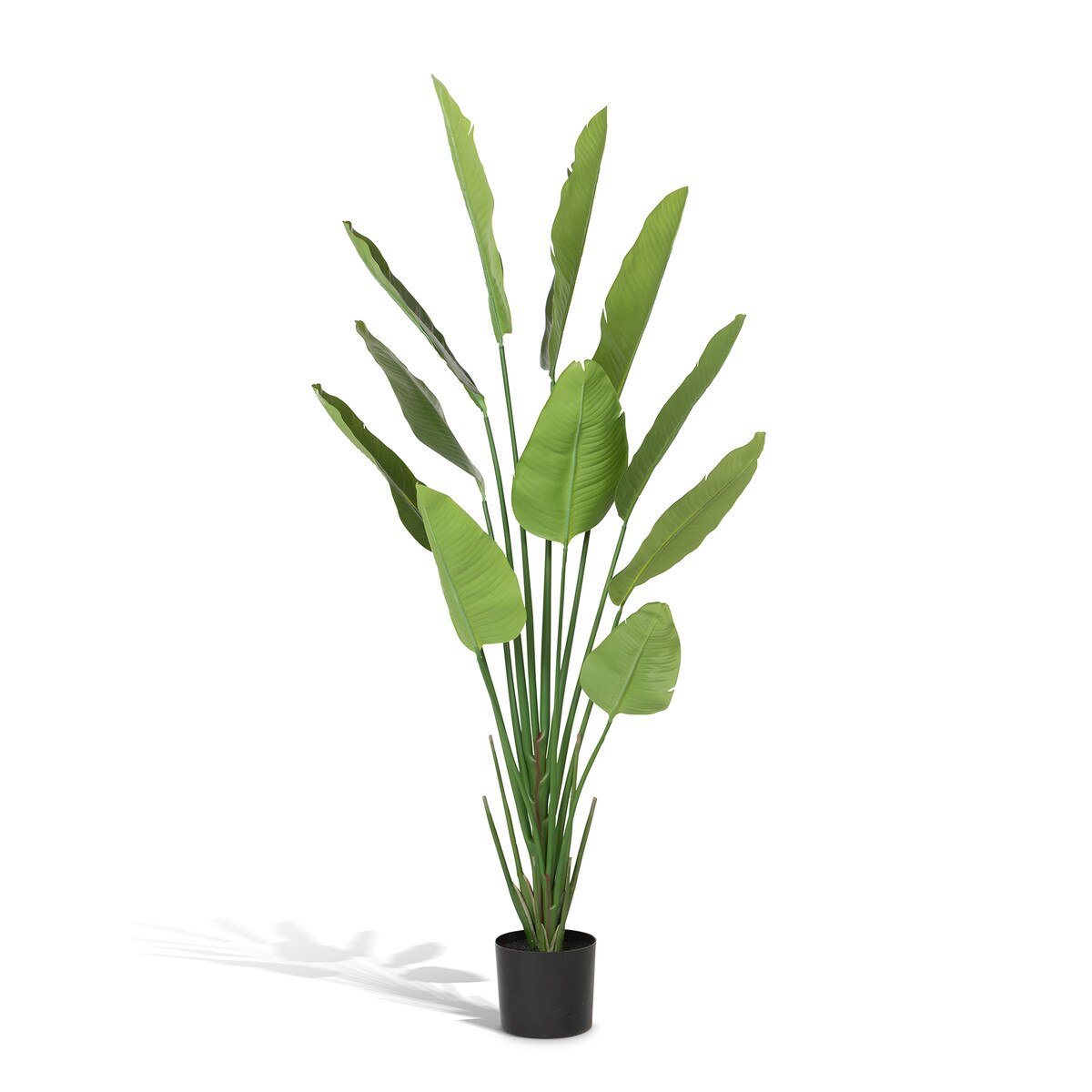 Faux Traveler Palm with Weighted Black Pot, 70" style shot 2