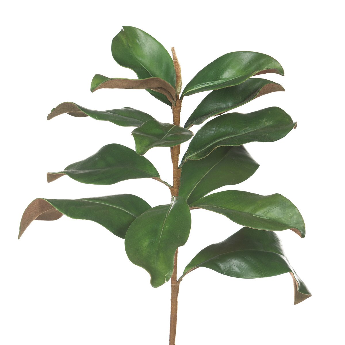Faux Magnolia Leaf Pick style shot 2