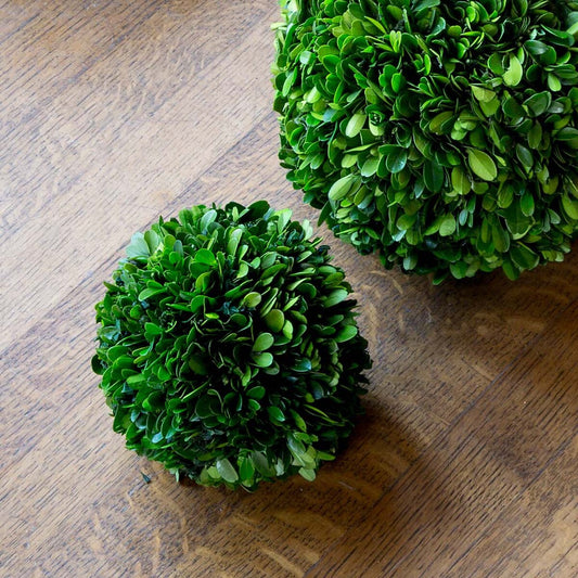 Preserved Boxwood Ball, 6"
