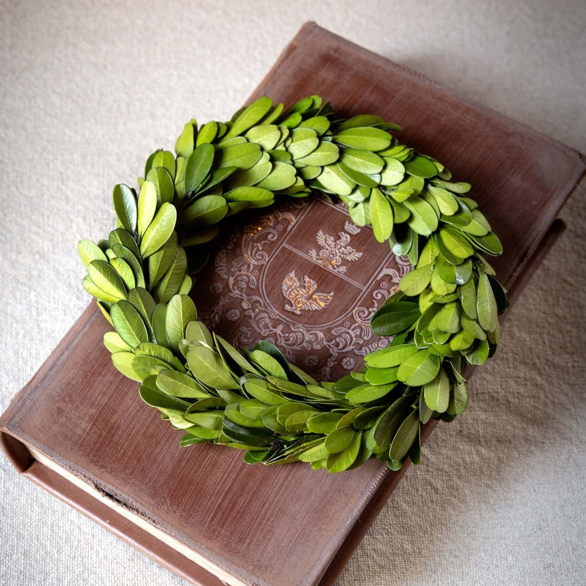 Mini Preserved Boxwood Wreaths, Set of 6 style shot 1
