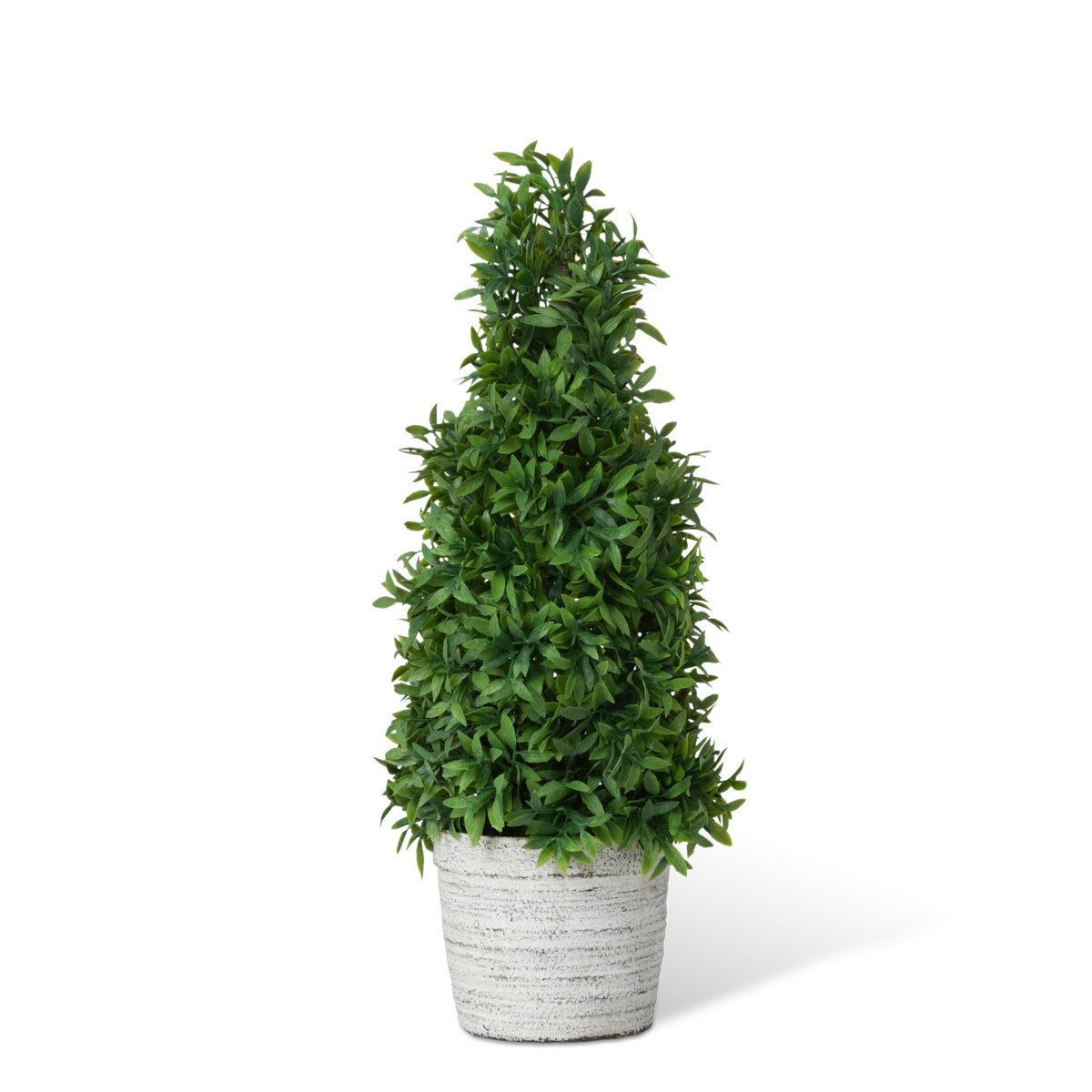 Mountain Savory Cone Topiary, Medium style shot 1