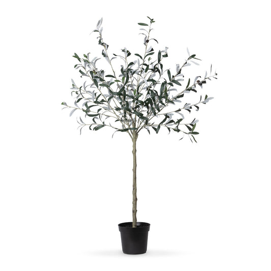 Potted Olive Topiary style shot 1