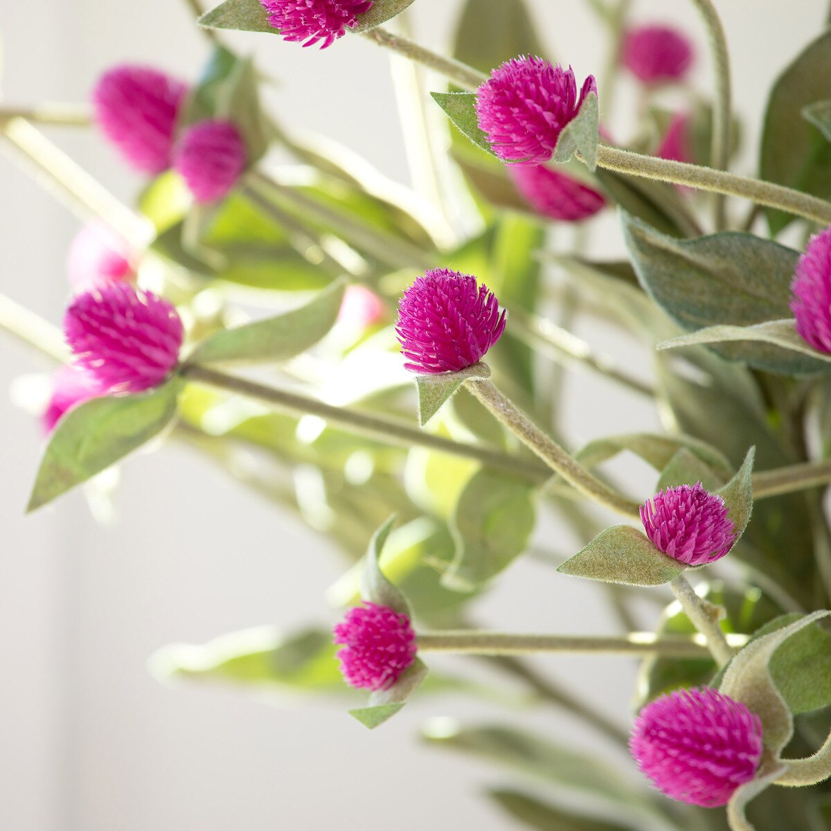 Crafted Gomphrena Stem