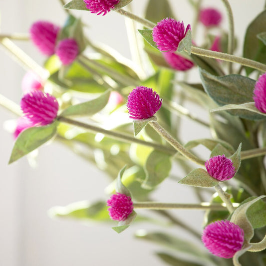 Crafted Gomphrena Stem