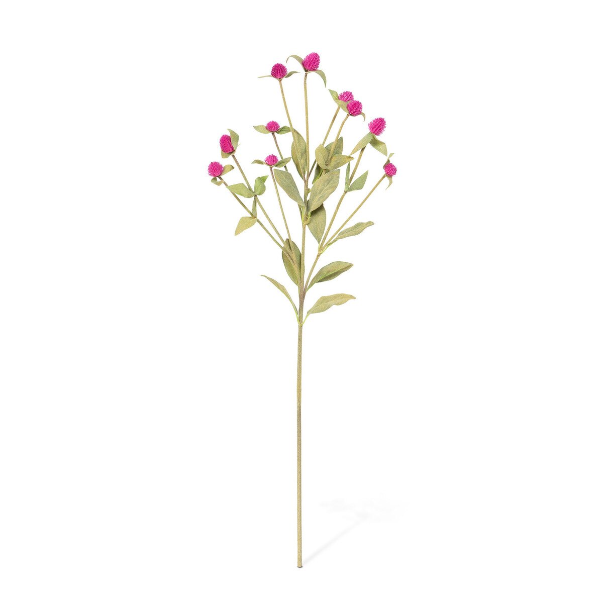 Crafted Gomphrena Stem style shot 1