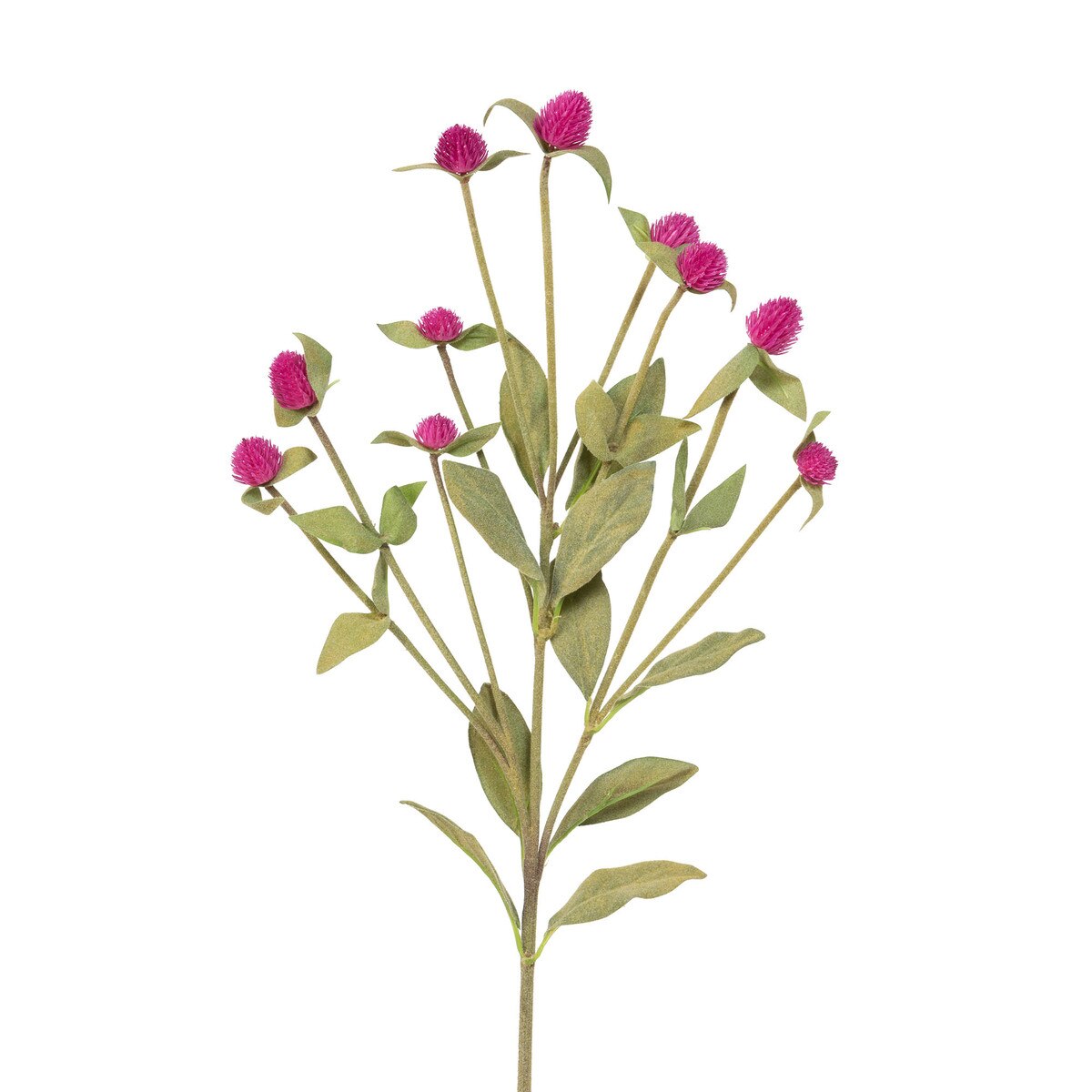 Crafted Gomphrena Stem style shot 2