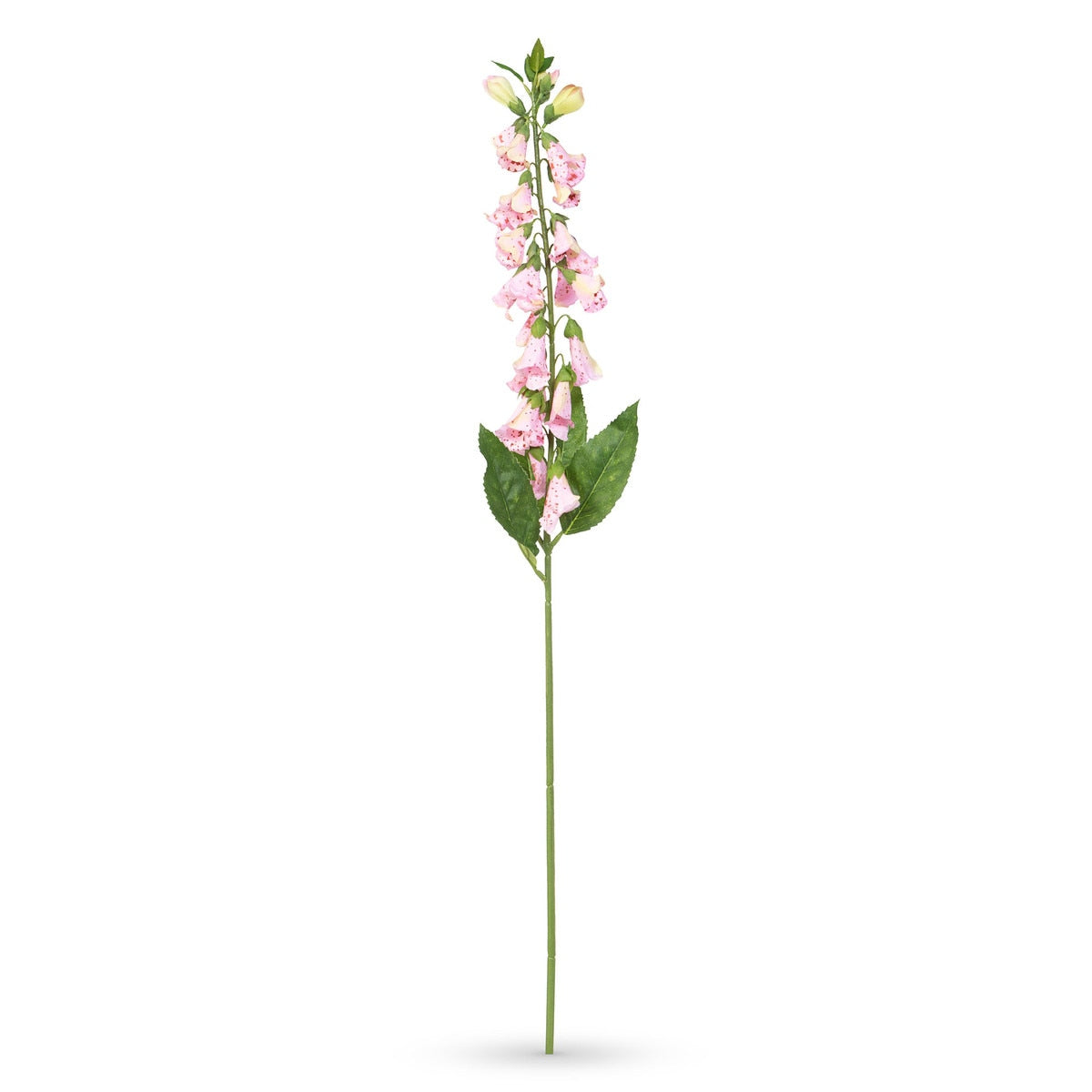 Crafted English Foxglove style shot 1