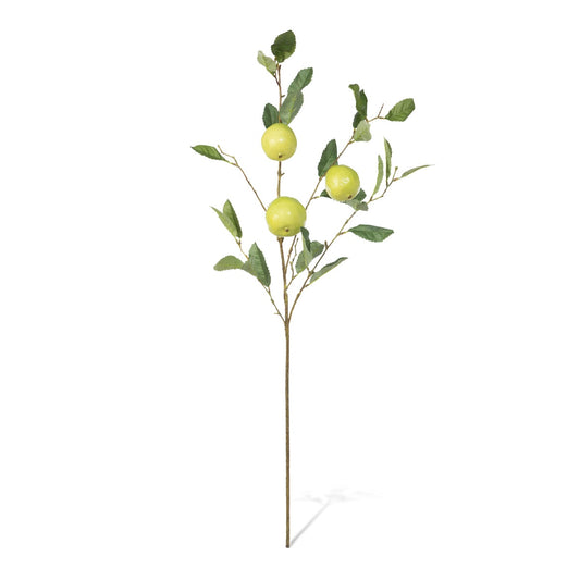 Quince Fruit Branch style shot 1