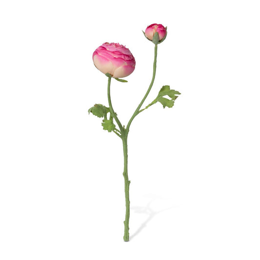 Summer Ranunculus, Pink Cerise Mix, 3 Assorted Colors style shot 1
