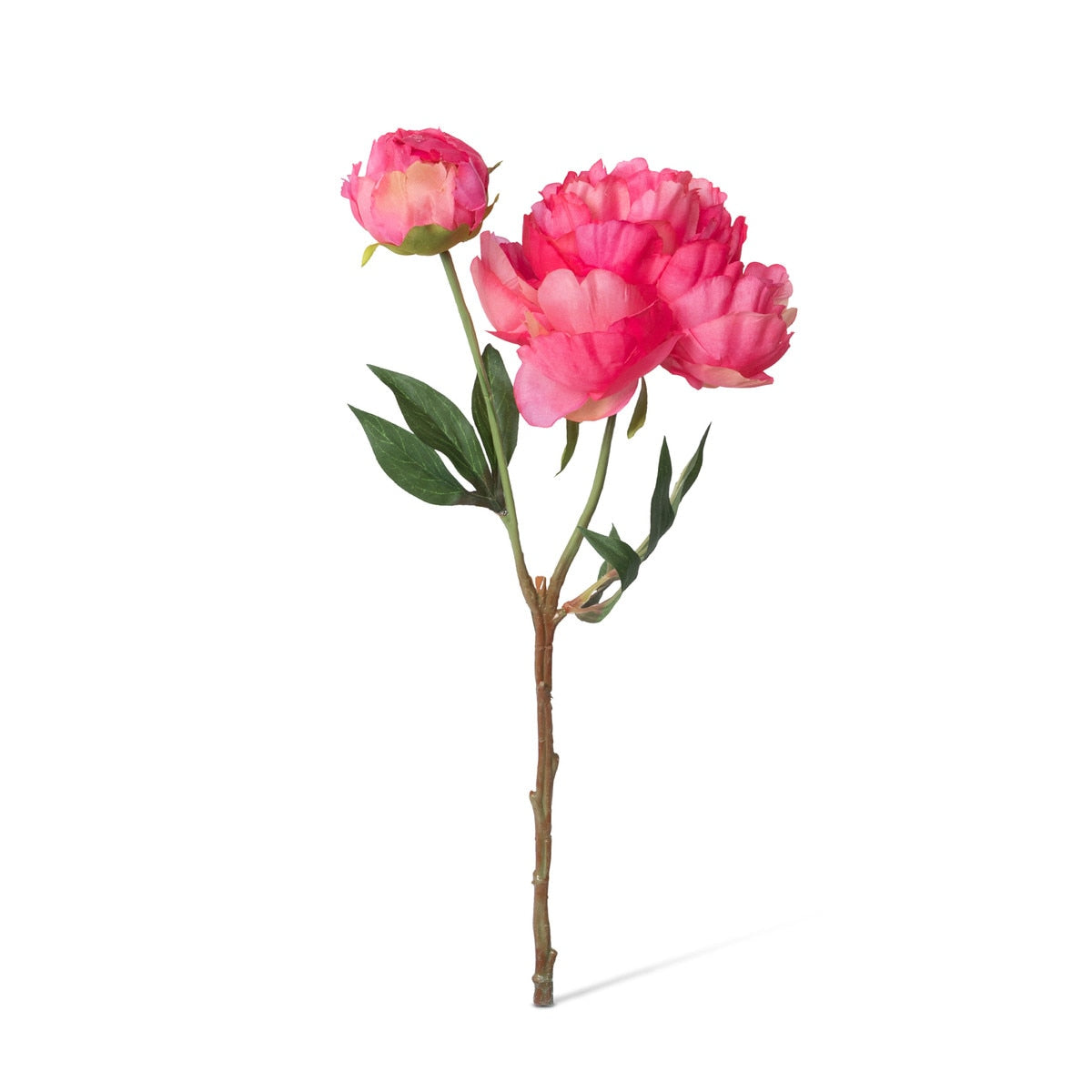 Summer Peony, Pink Cerise Mix, 3 Assorted Colors style shot 2