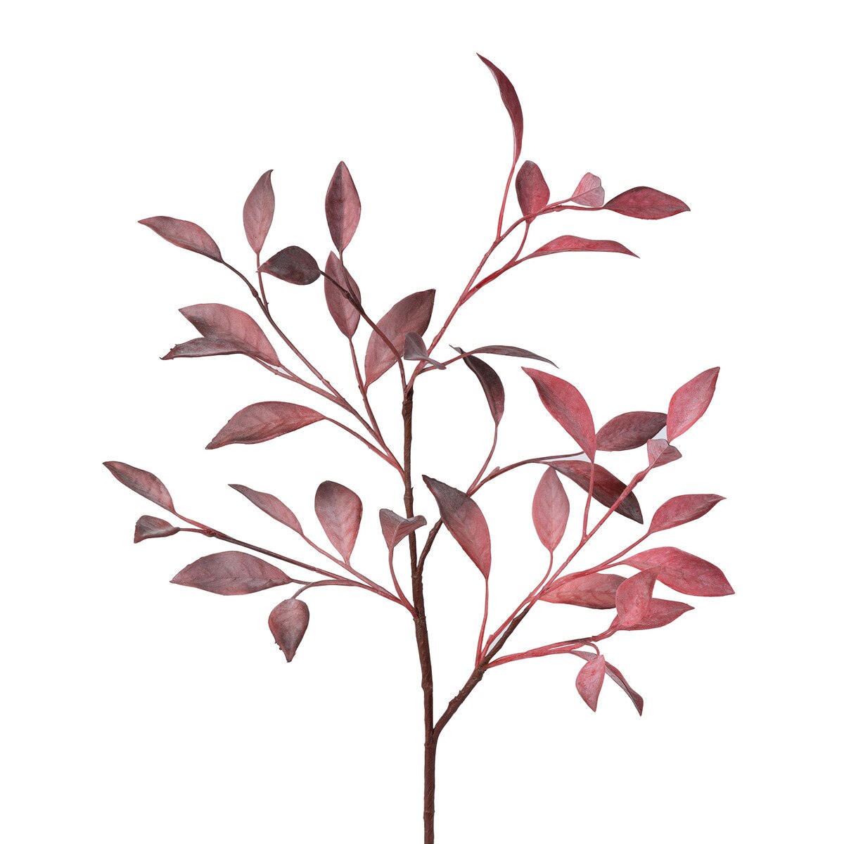 Crimson Bay Leaf Branch style shot 2