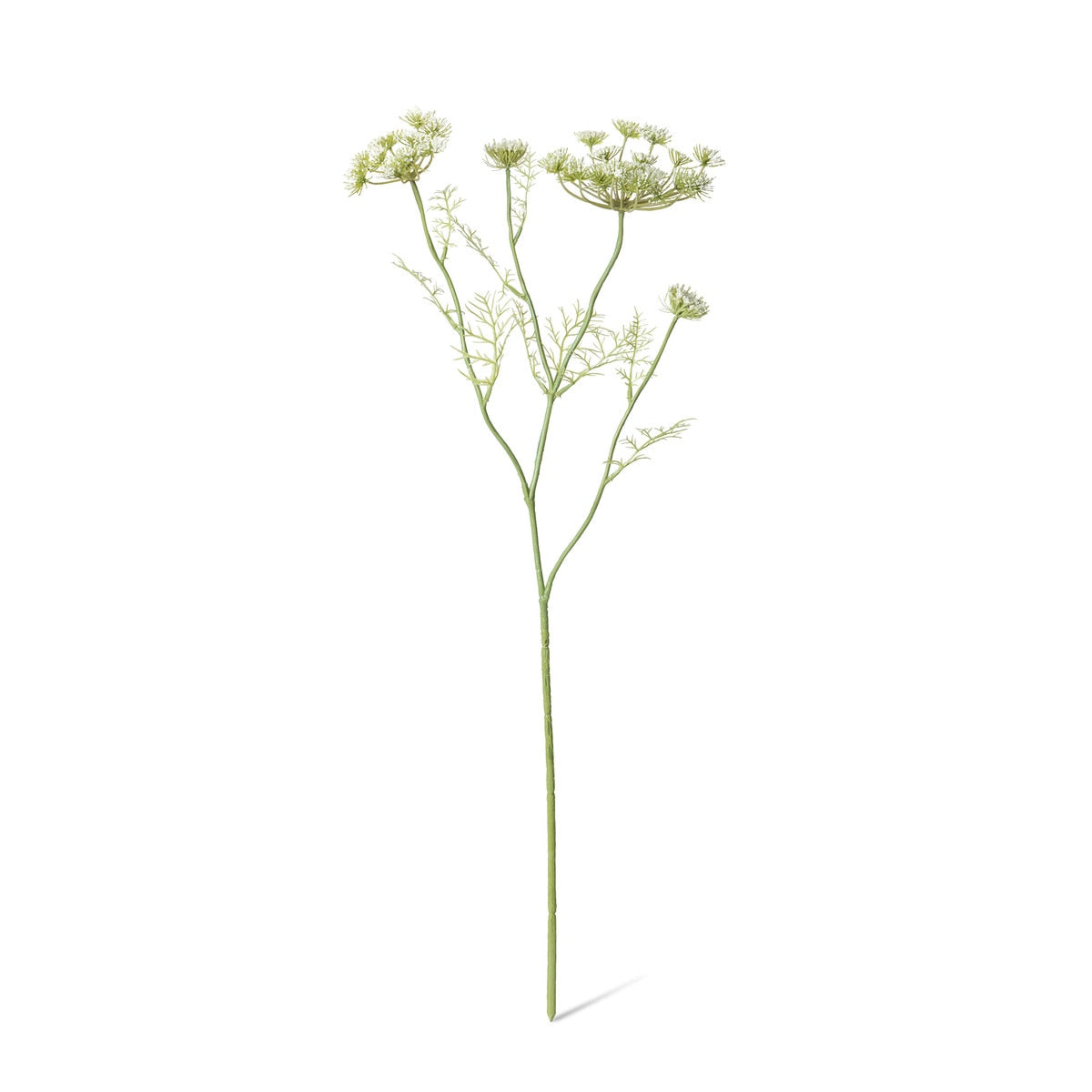 Queen Anne's Lace Spray style shot 1