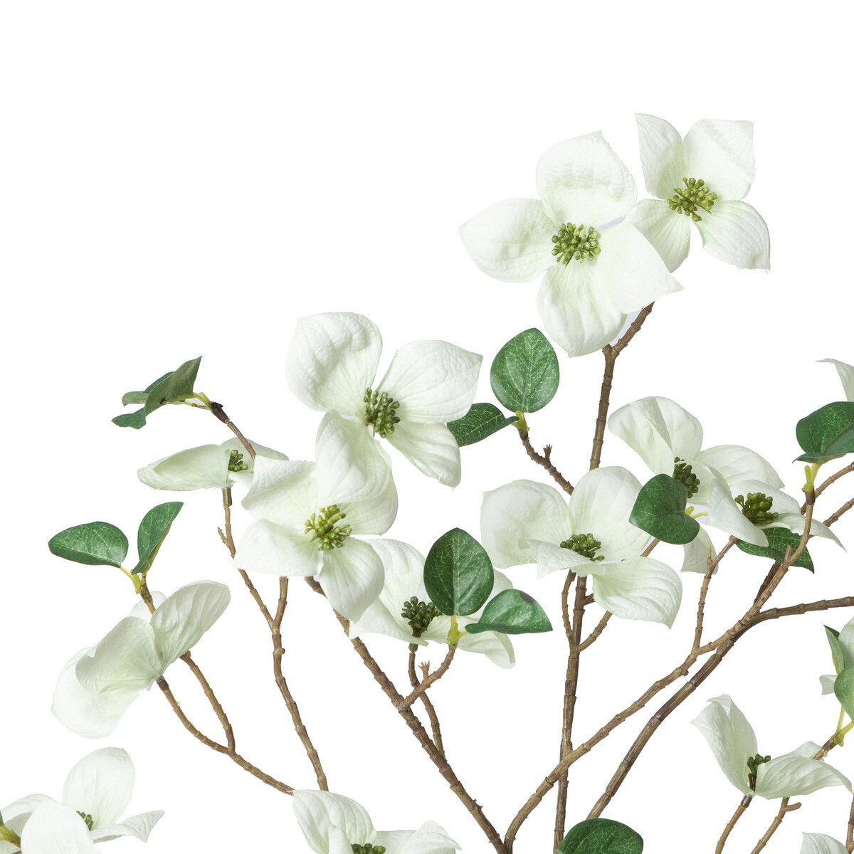 Dogwood Branch style shot 2