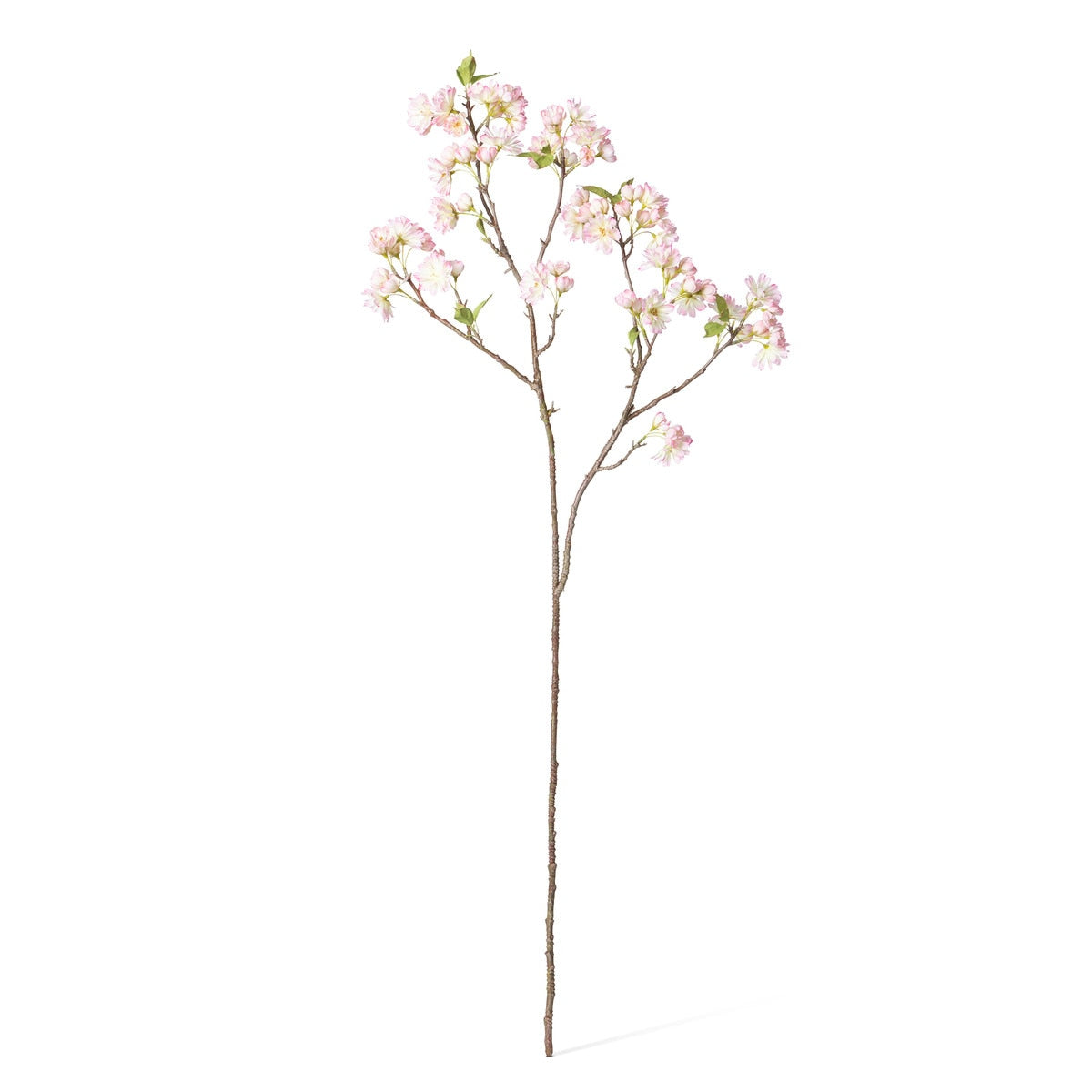 Cherry Blossom Branch style shot 1