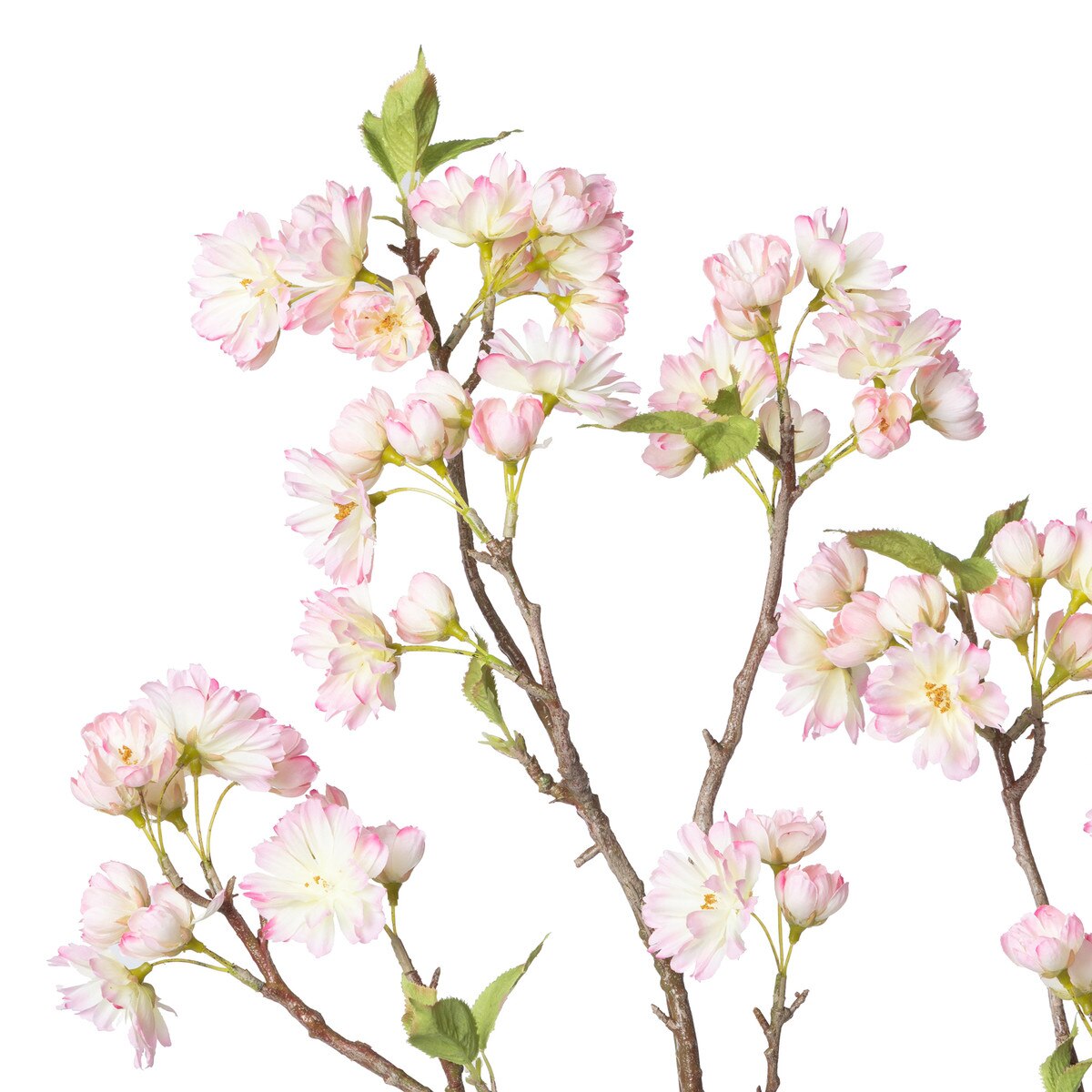 Cherry Blossom Branch style shot 2