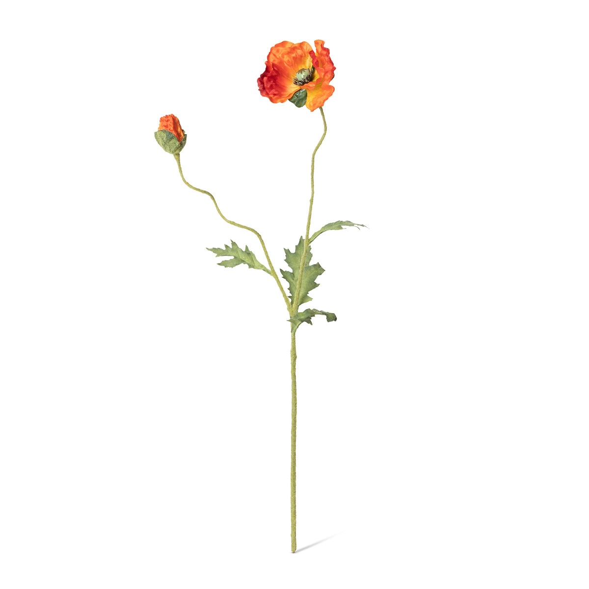 Poppy Stem, Orange style shot 1