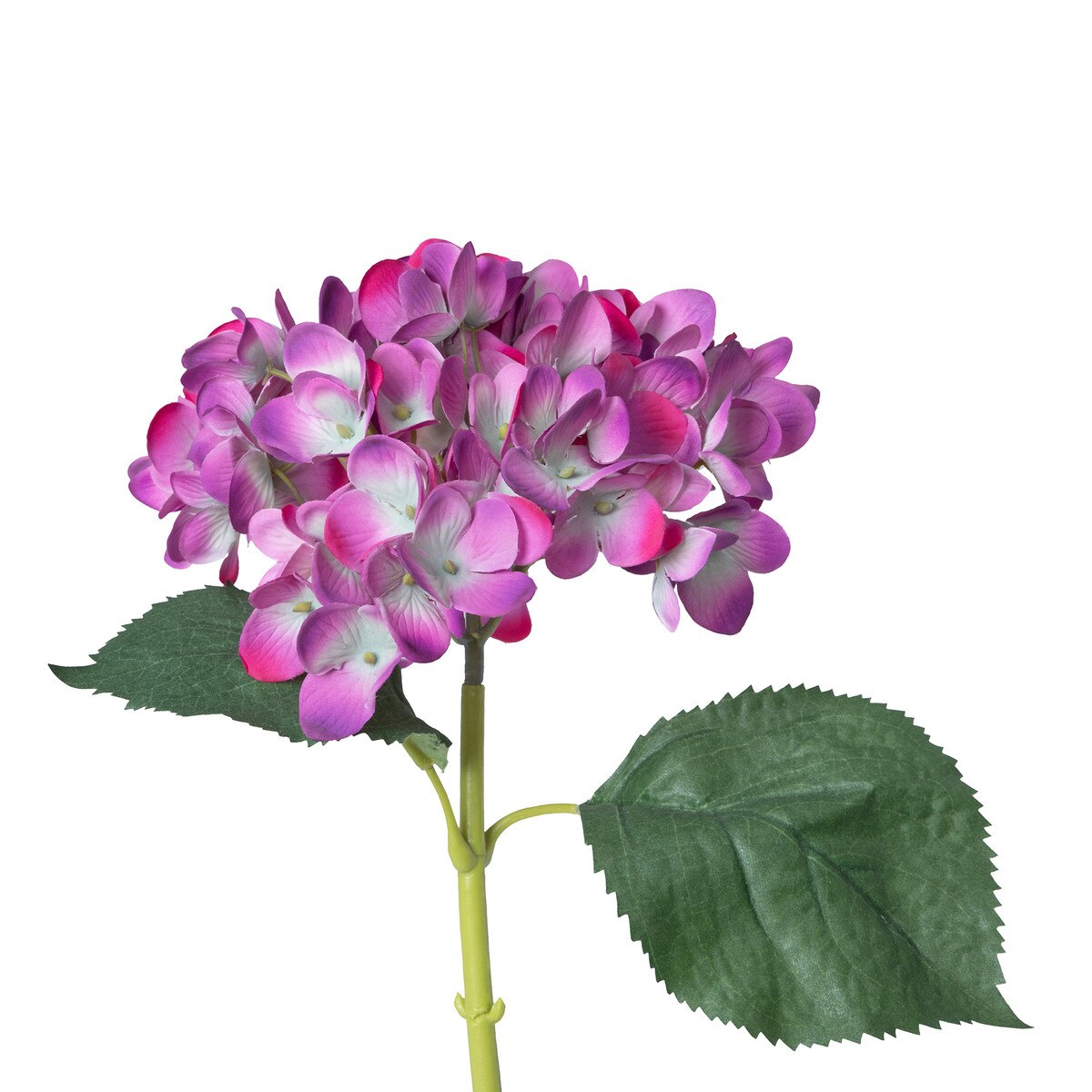 Garden Hydrangea Stem, Fuchsia style shot 2