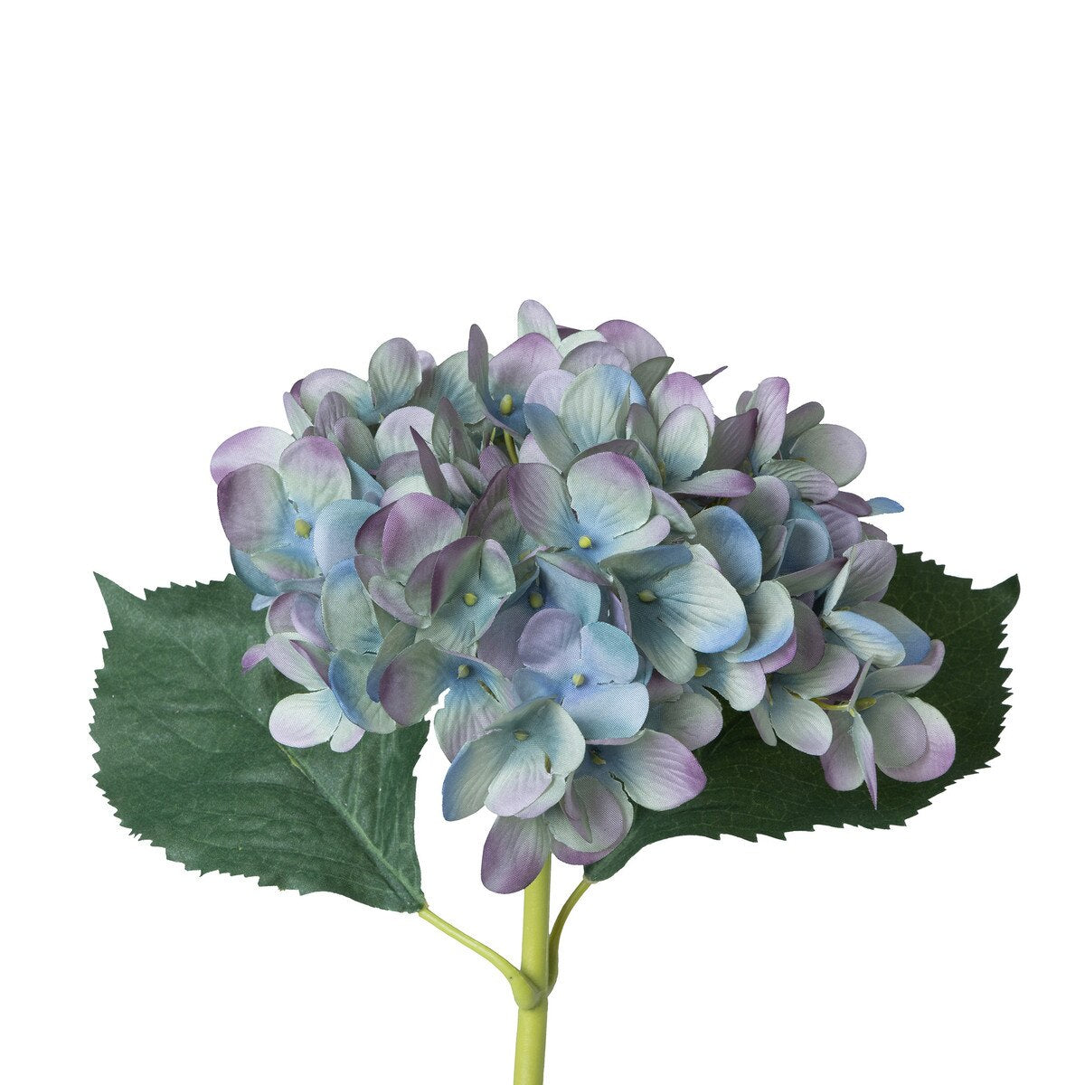 Garden Hydrangea Stem, Blue Plum style shot 2