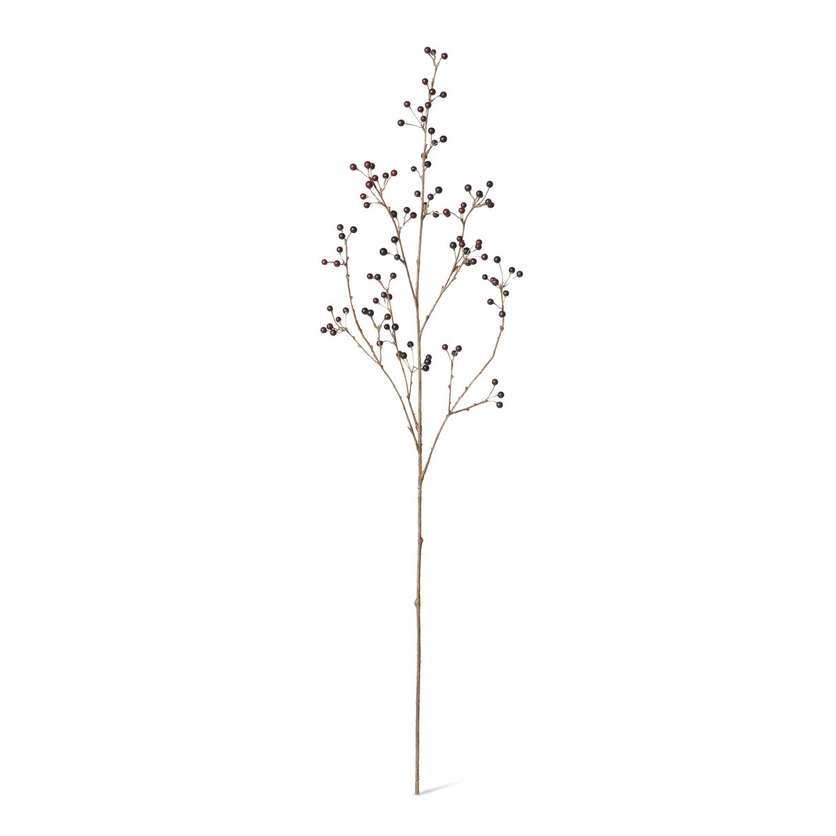 Late Season Blueberry Branch style shot 1