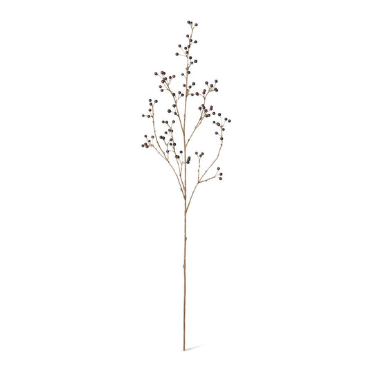 Late Season Blueberry Branch style shot 1