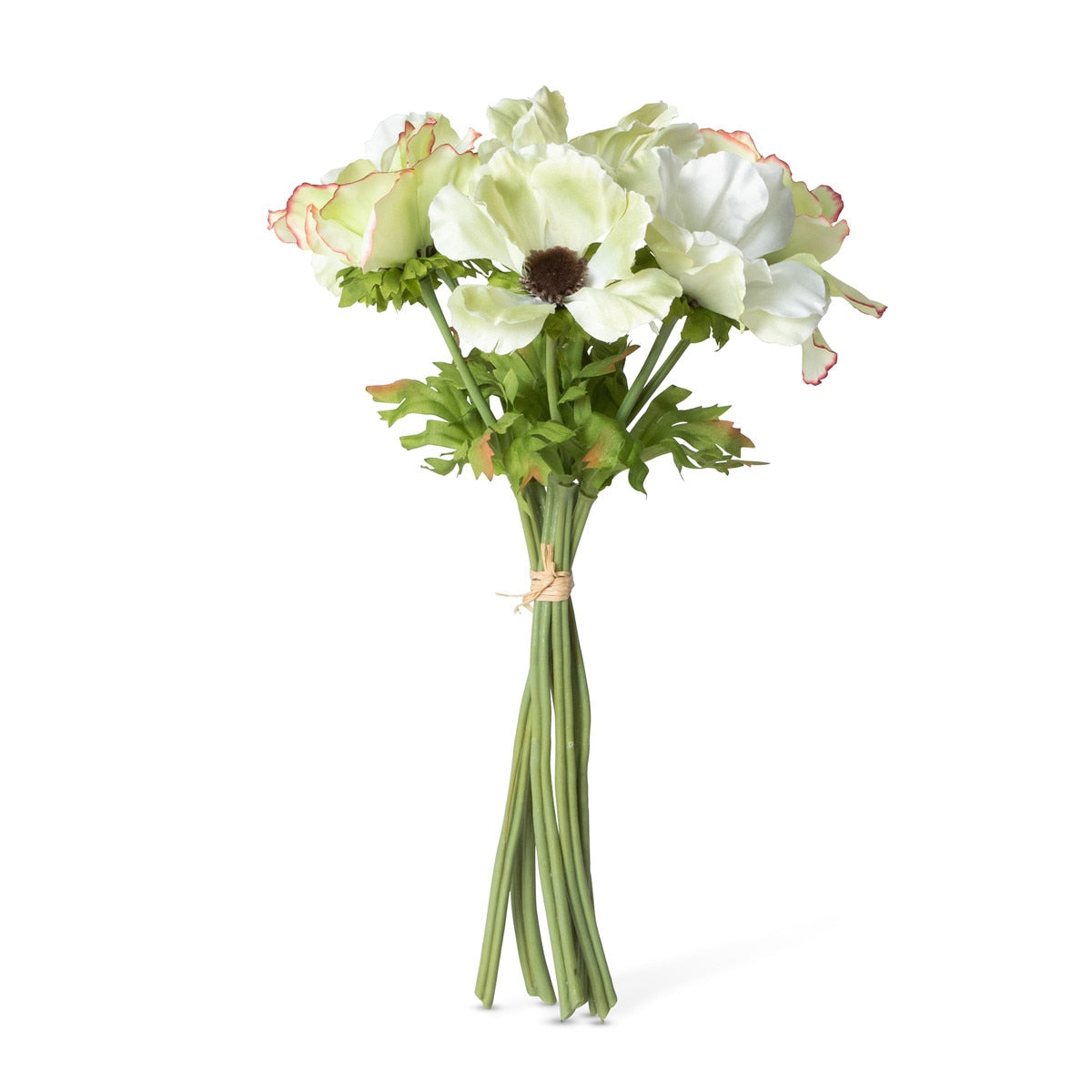 Garden Cutting Anemone Bundle, Cream Green style shot 1
