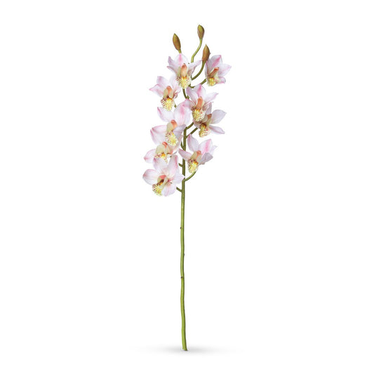 Cymbidium Orchid Stem, Pink style shot 1
