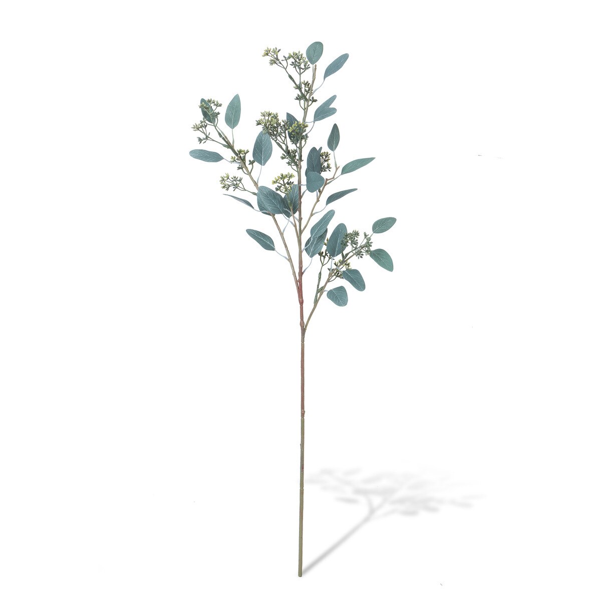 Seeded Eucalyptus Stem style shot 1
