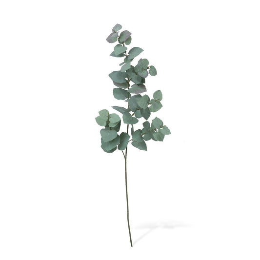 Silver Dollar Eucalyptus Stem style shot 1