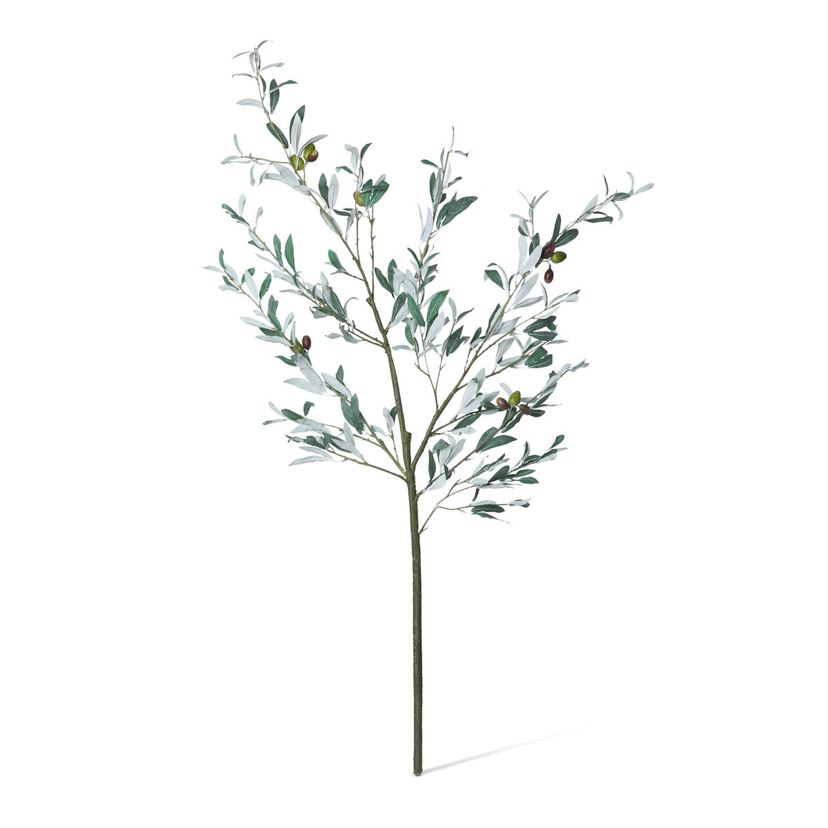 Olive Branch style shot 1