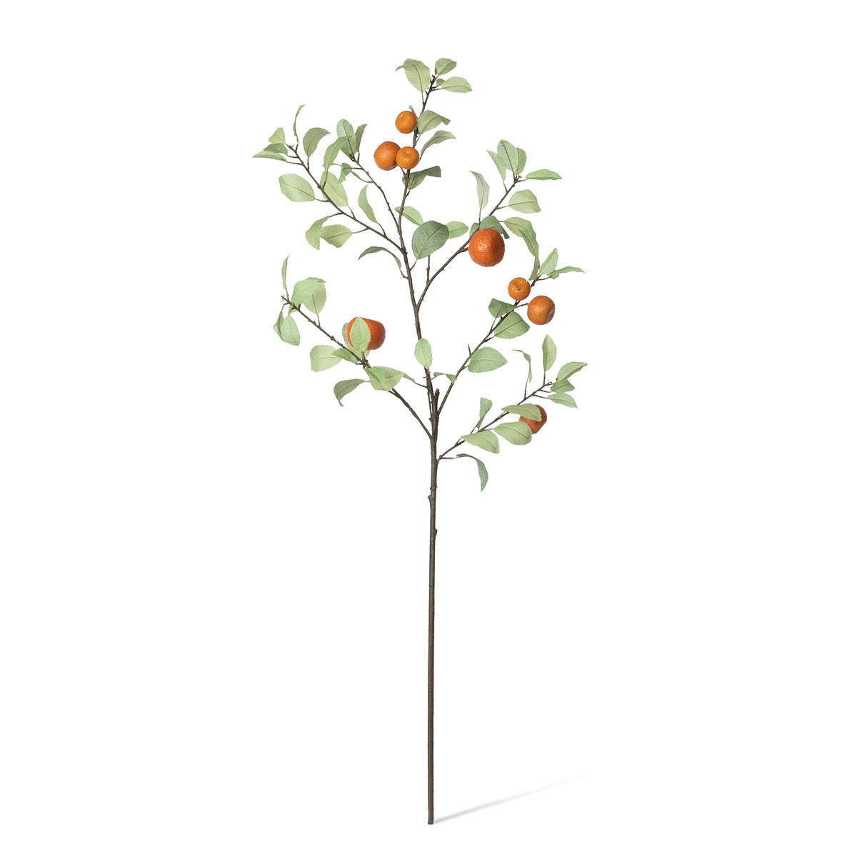Tangerine Branch style shot 2