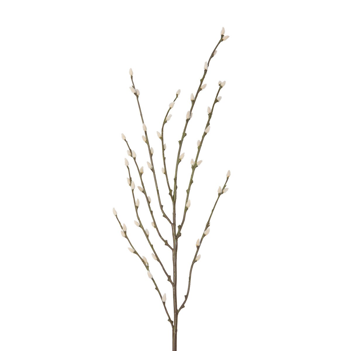 Pussy Willow Branch style shot 2