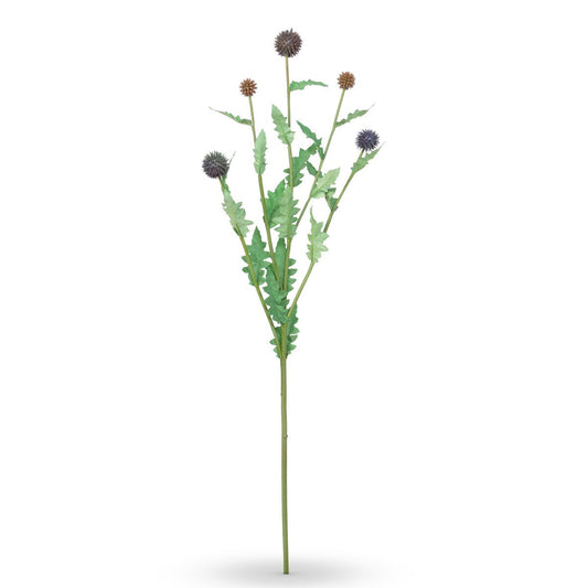 Globe Thistle Stem style shot 1