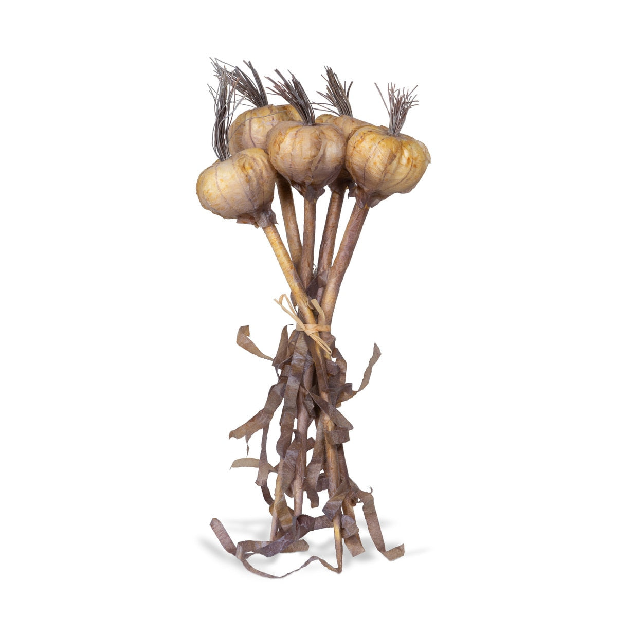 Dried Garlic, Bundle of 5 style shot 1
