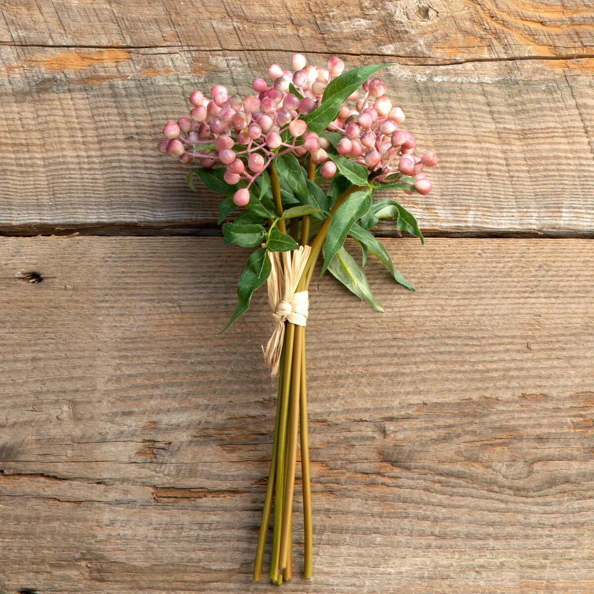 Blush Berry Bundle, Maroon style shot 1