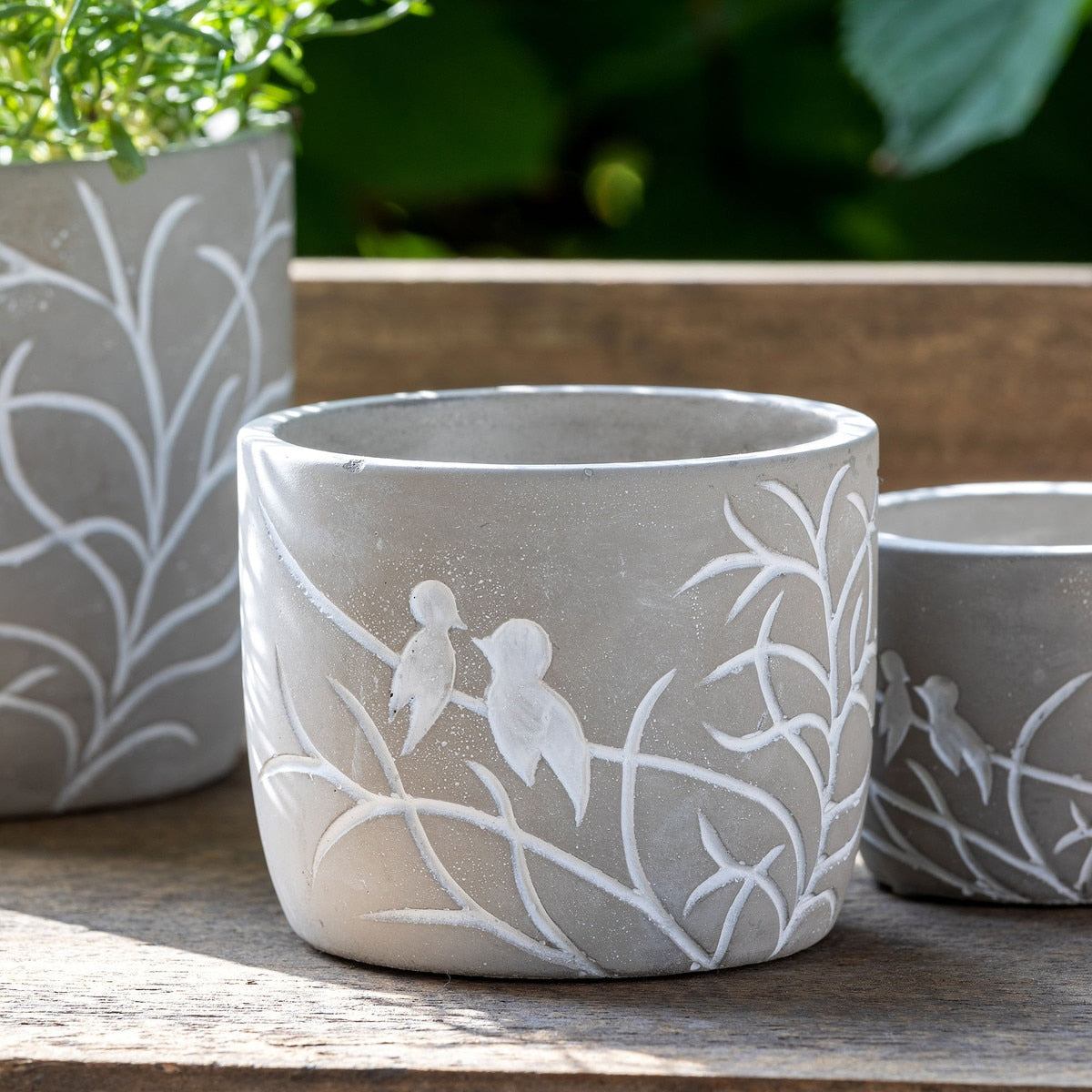 Lovebirds Silhouette Cement Pot, Medium