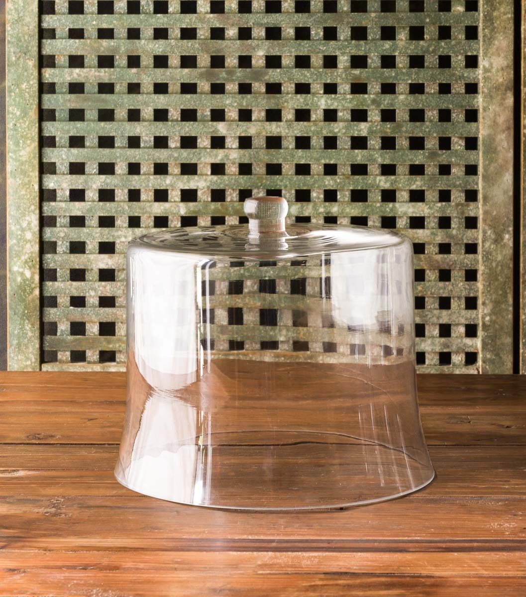 Estate Glass Cloche style shot 1