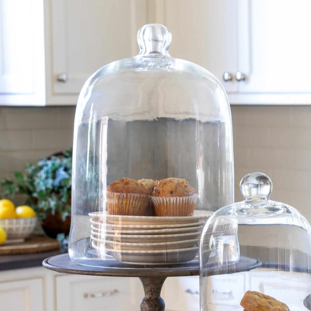 Bell Jar, Extra-Large