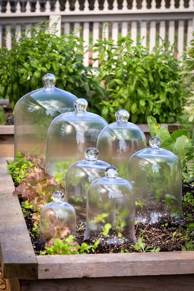 Bell Jar, Extra-Large style shot 1