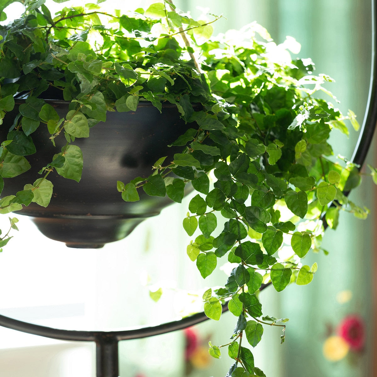 Spherical Iron Plant Stand style shot 2