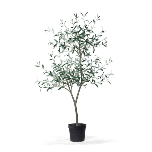 Tuscan Olive Tree in Grower's Pot style shot 1